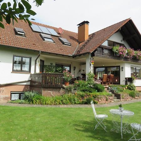 Ferienwohnungen Haus Albert Grossheubach Экстерьер фото