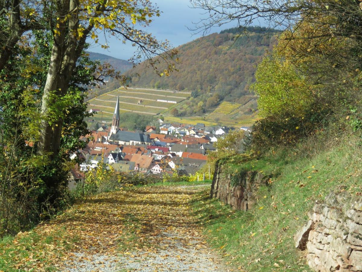 Ferienwohnungen Haus Albert Grossheubach Экстерьер фото